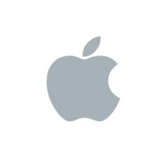 OEM Apple